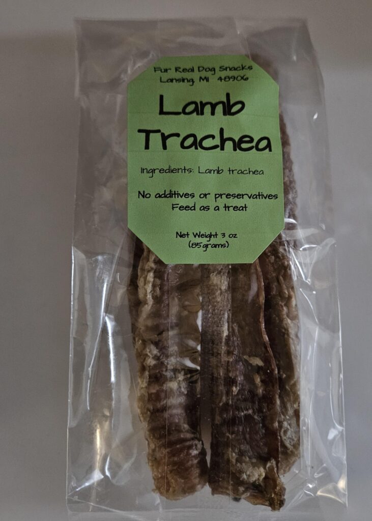lamb trachea